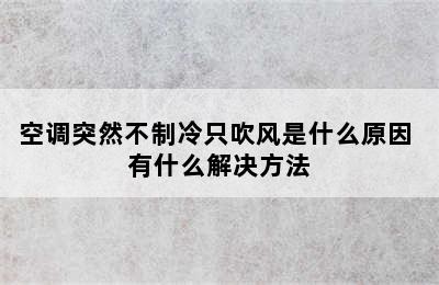 空调突然不制冷只吹风是什么原因 有什么解决方法